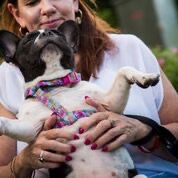 Linda Thomson, MCouns, MSW, GradDipEntrep - Marriage, Relationship & Couples Counsellor with therapy dog Lexi in Noosa practice